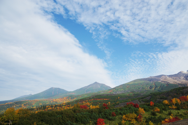 写真：望岳台の紅葉