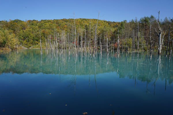 写真：なまら青い池